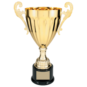 Cup Trophy Example